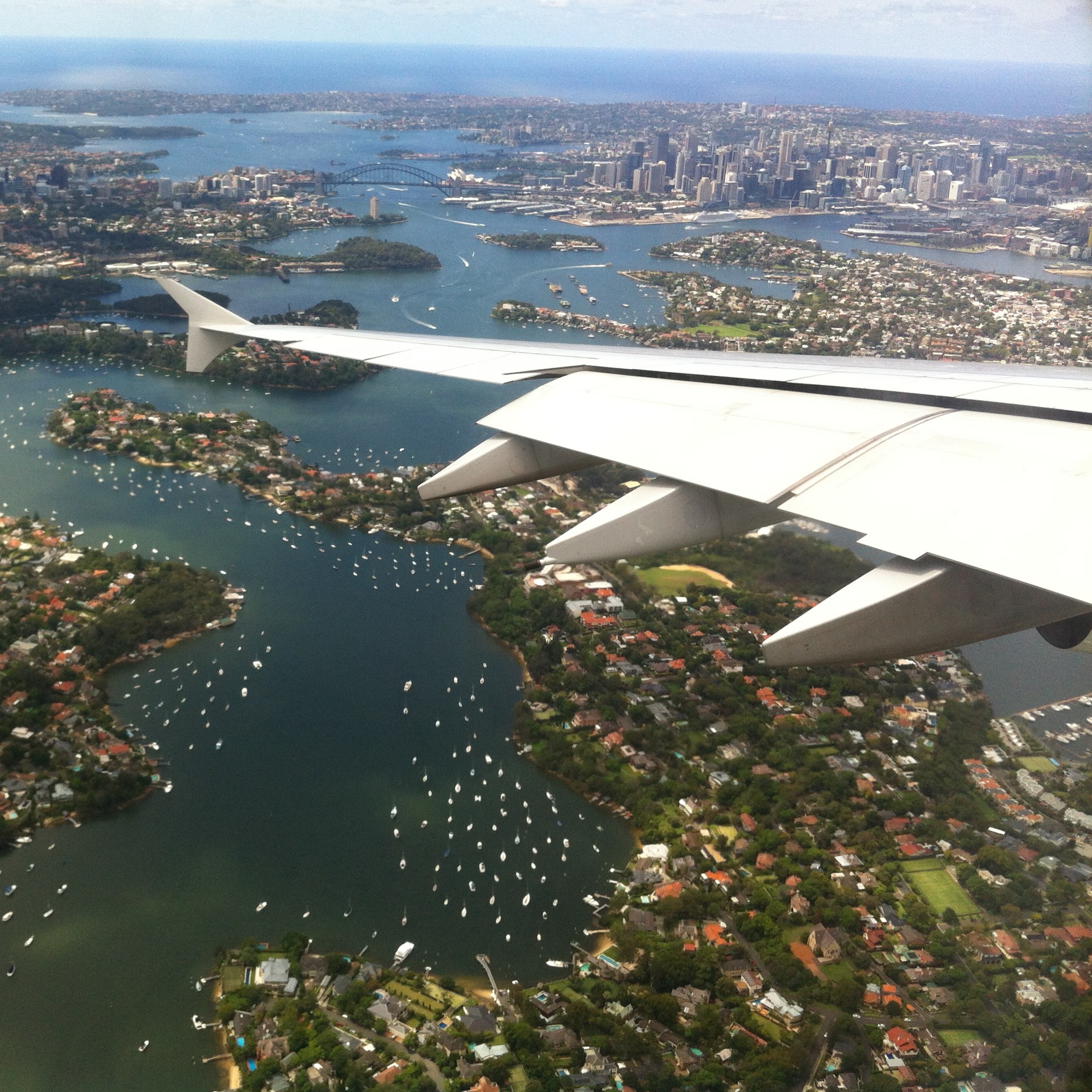 time flies sydney flight arrival