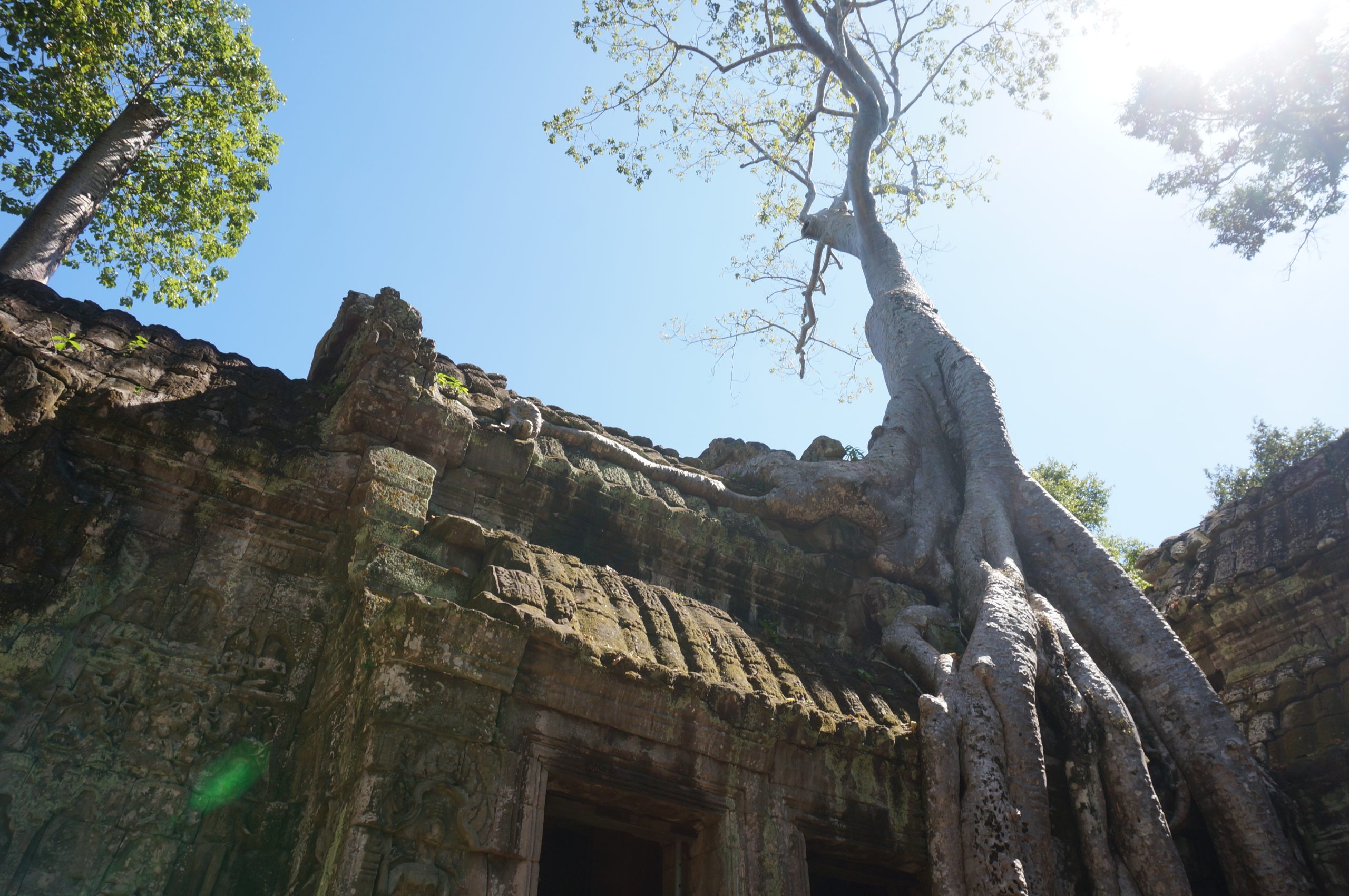 time flies angkor wat ta prohm